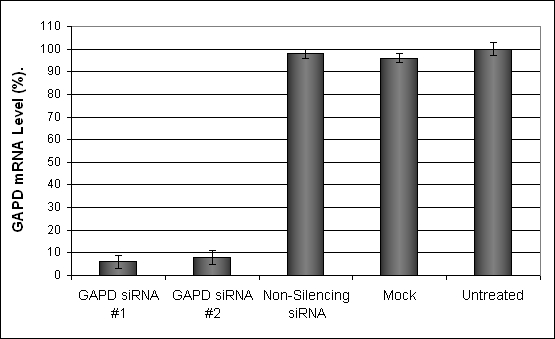 293 Cell Transfection Reagent