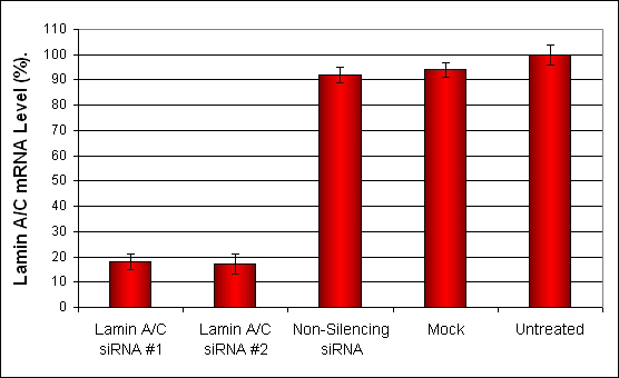 3T3L1 Transfection Reagent