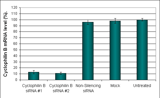 AR42J Cells Transfection Reagent