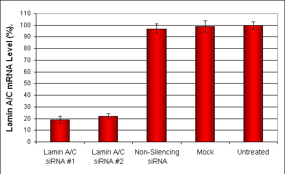 ARPE19 Transfection Kit