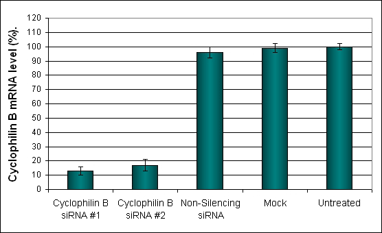 B16-F10 Transfection Reagent