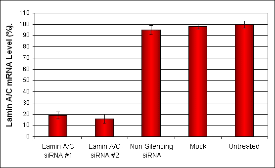 BALB3T3 Transfection Reagent