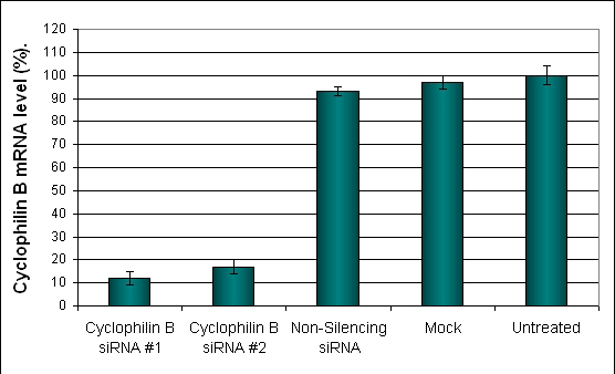 BJ Cells Transfection Kit