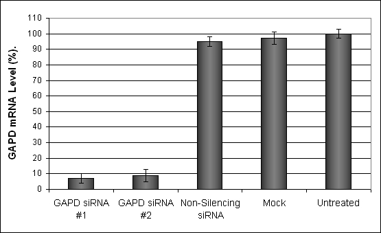 BetaTC6 Transfection Reagent