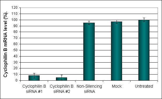 BxPC3 Transfection Reagent