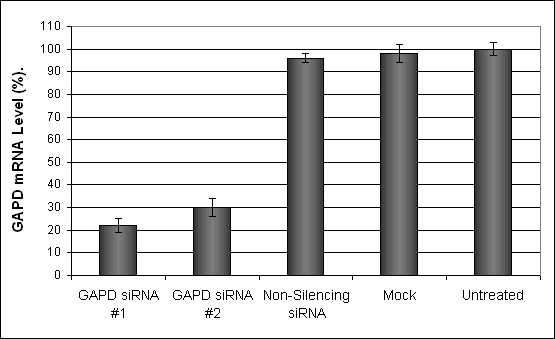 CLBPEC Transfection Kit