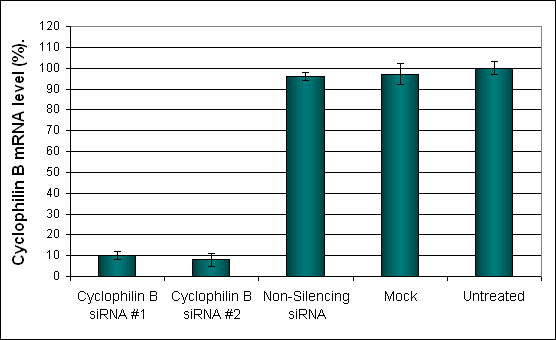 CT26WT Transfection Reagent