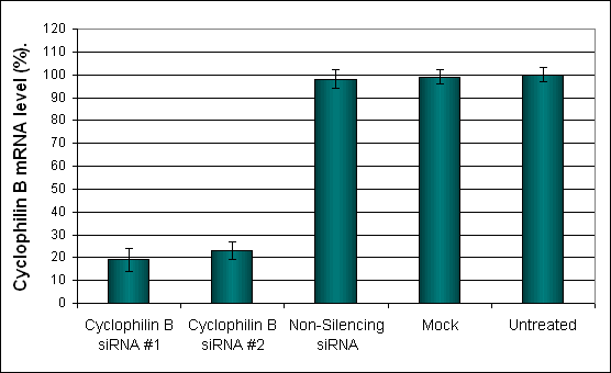 DITNC1 Transfection Reagent