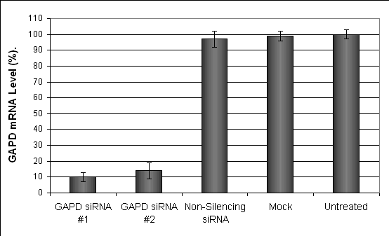 DLD1 Transfection Reagent