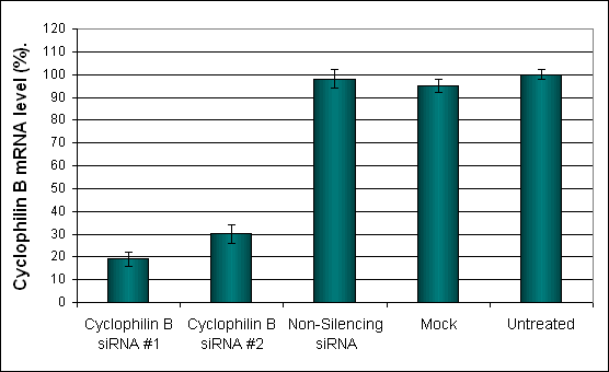 FaDu Transfection Reagent