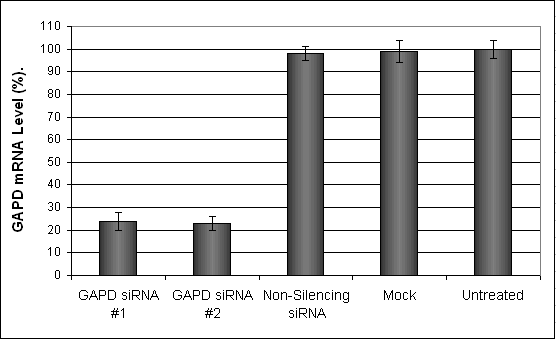 HCN1A Transfection Reagent