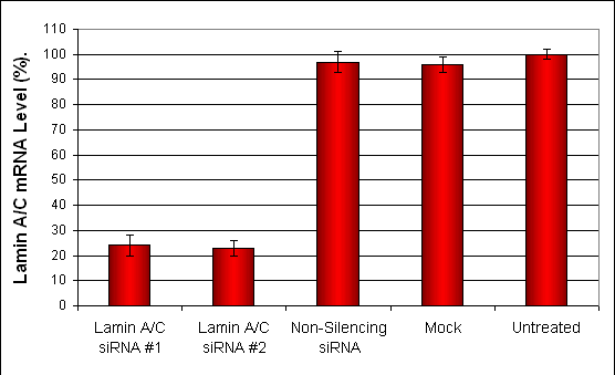 Hepa1 Transfection Reagent