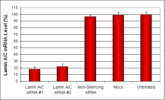 IRR-MRC5 Transfection Reagent