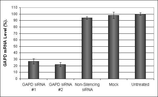 KB Transfection Reagent