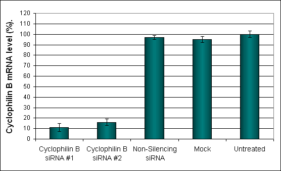 L6 Cells Transfection Reagent