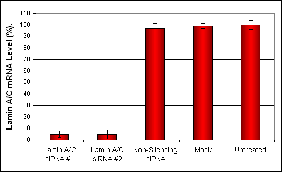 LoVo Cells Transfection Kit