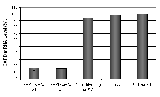 MEF Transfection Reagent