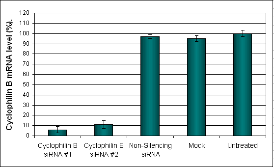 MIA PaCa2 Transfection Reagent