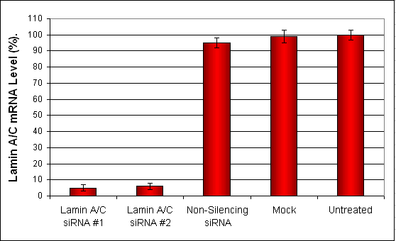 NCI-H23 Transfection Reagent