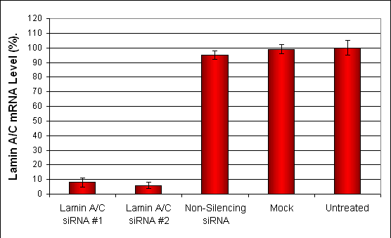 NCI-H441 Transfection Reagent