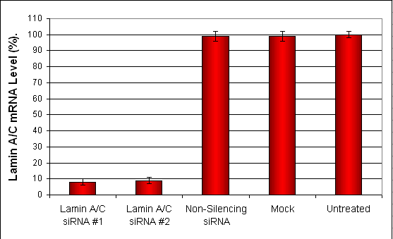 NCI-N87 Transfection Reagent