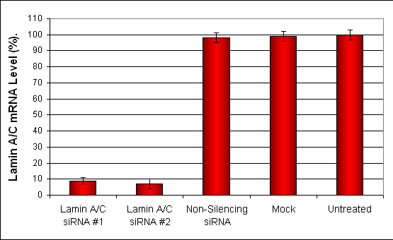 RD Cells Transfection Reagent