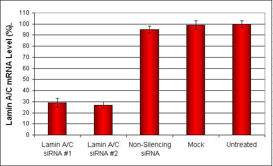 SKMEL28 Transfection Reagent