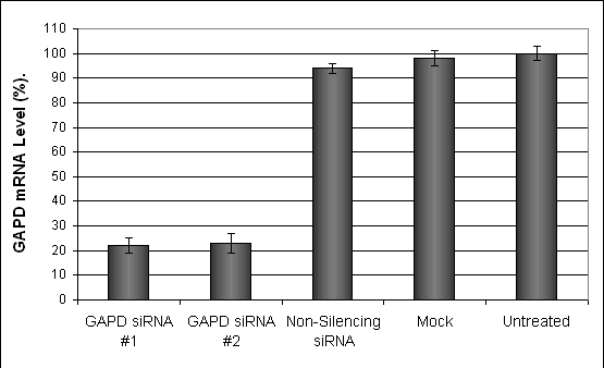 SKNMC Cell Transfection Kit