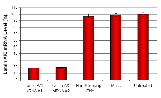 SKNSH Transfection Reagent