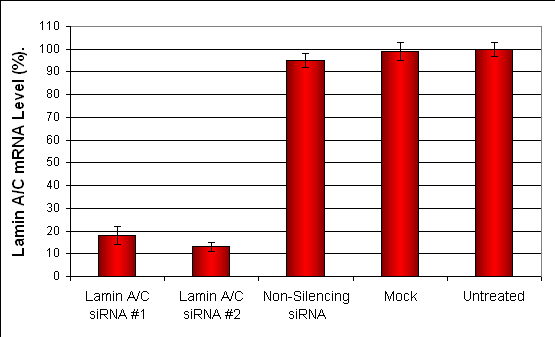 SW480 Transfection Kit