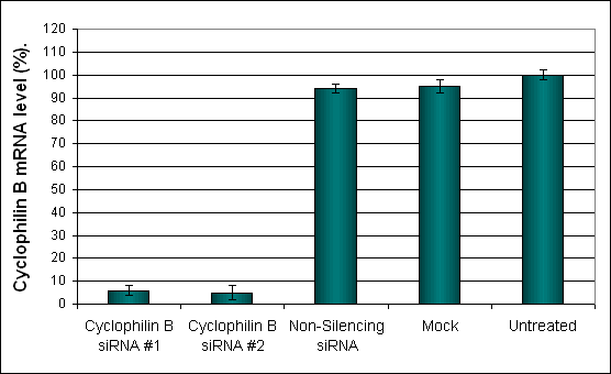 T98G Cell Transfection Reagent