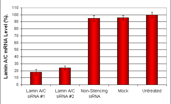 WeriRb1 Transfection Reagent