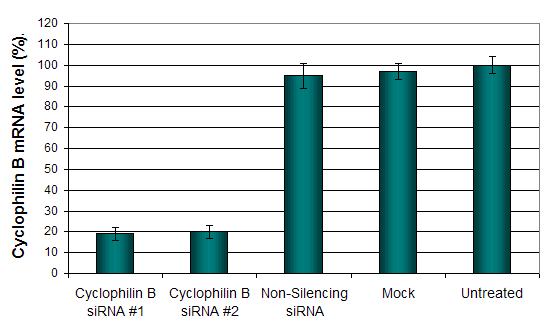 a204 cell transfection reagent