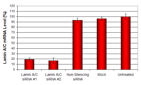 A549 cell transfection reagent