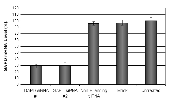 bEnd3 Transfection Reagent