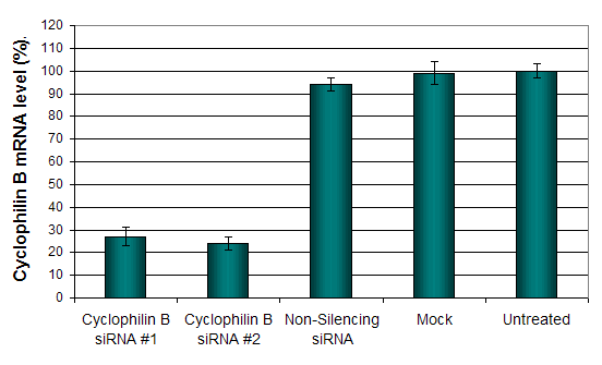 BMS2 Transfection Reagent