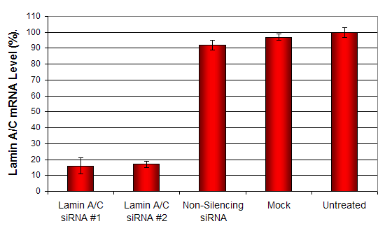 Caki Transfection Kit