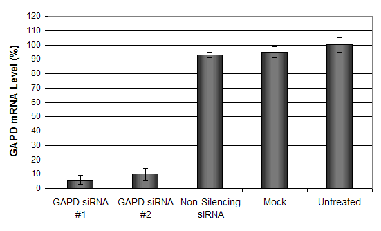 CHO cell transfection reagent