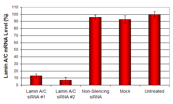 Fibroblasts Cells Transfection Reagent