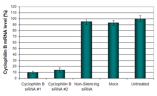 MDA-MB Transfection Reagent