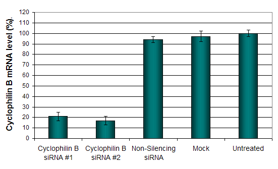 Panc-1 Transfection Reagent