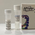POLYMER In Vivo Transfection Reagent | Transfection Reagents | Cell ...