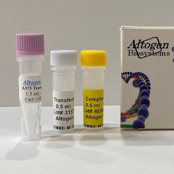 a375 Transfection Reagent