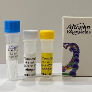 a431 Transfection Reagent