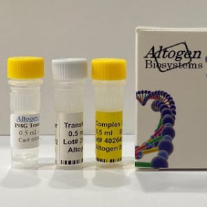 t98g Transfection Reagent