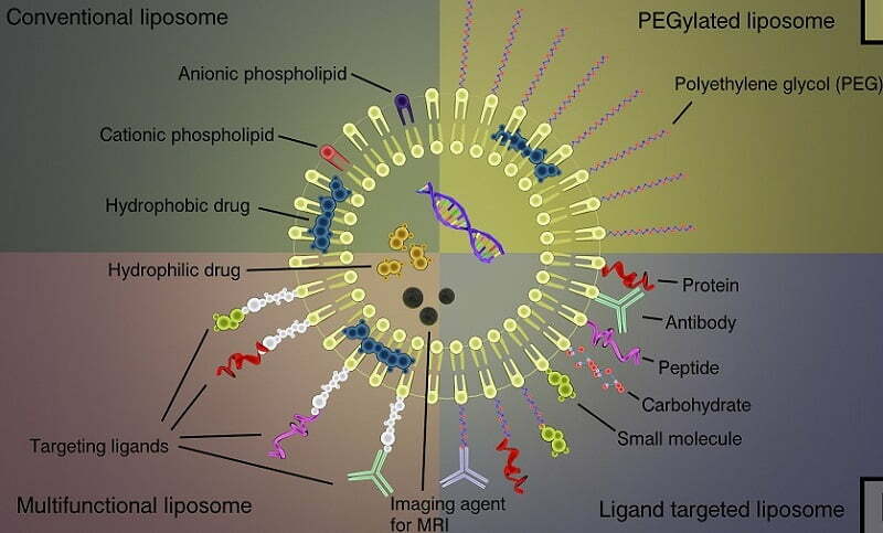 Transfection Reagents. Copyright Altogen Biosystems 2022.