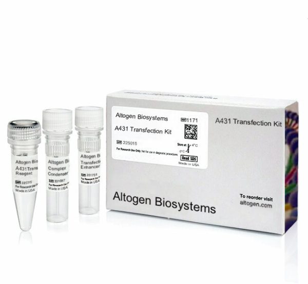 A431 Transfection Reagent
