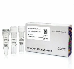 293 Transfection Reagent