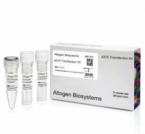 A375 Transfection Reagent
