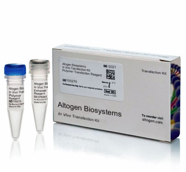 In Vivo Polymer Transfection Reagent